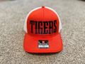 Tigers Richardson Embroidered Snap Back Hat