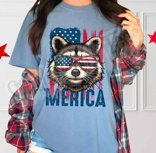 Raccoon ‘Merica