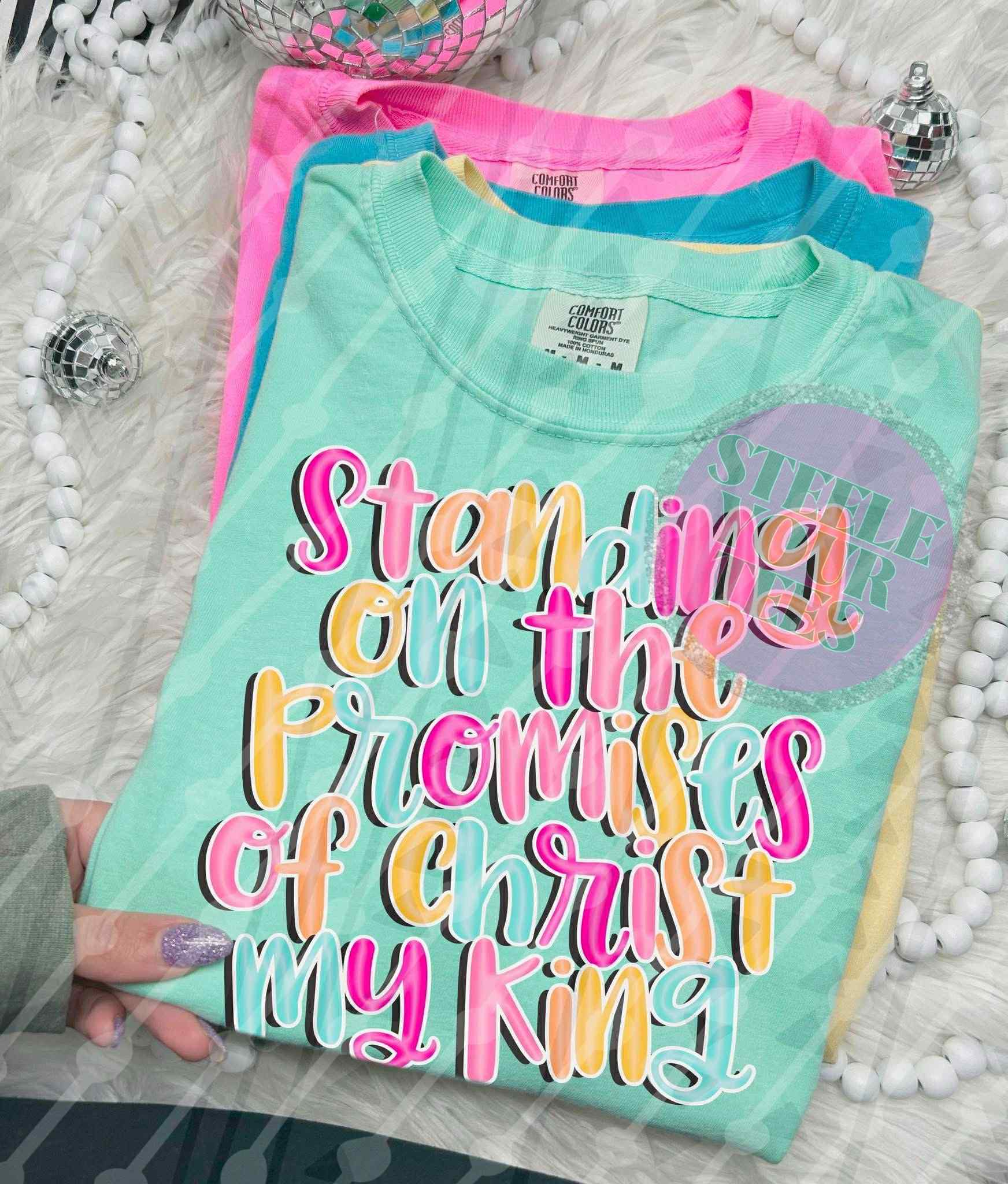 Standing on the promises of Christ my King All Sizes Tee