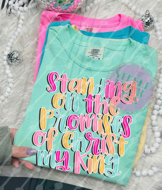 Standing on the promises of Christ my King All Sizes Tee