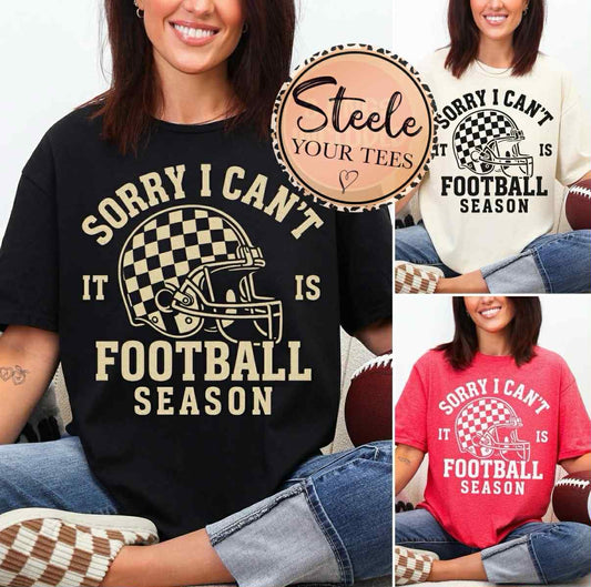 Sorry I Can't It Is Football Season All Sizes Tee