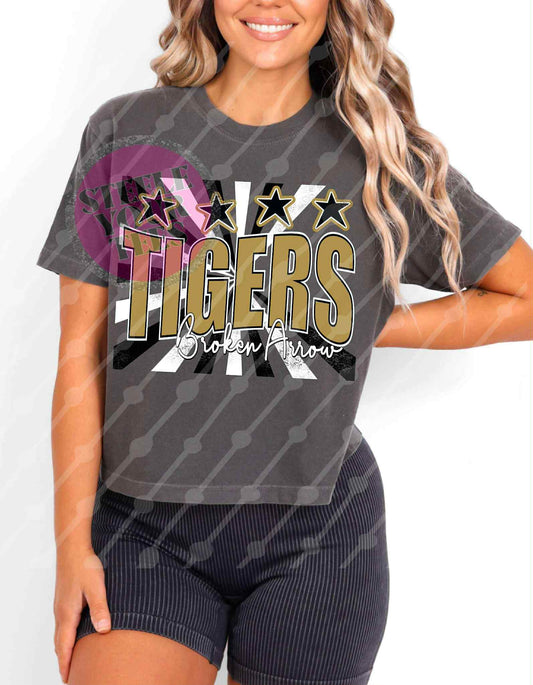 Broken Arrow Tigers -retro square (all styles here)